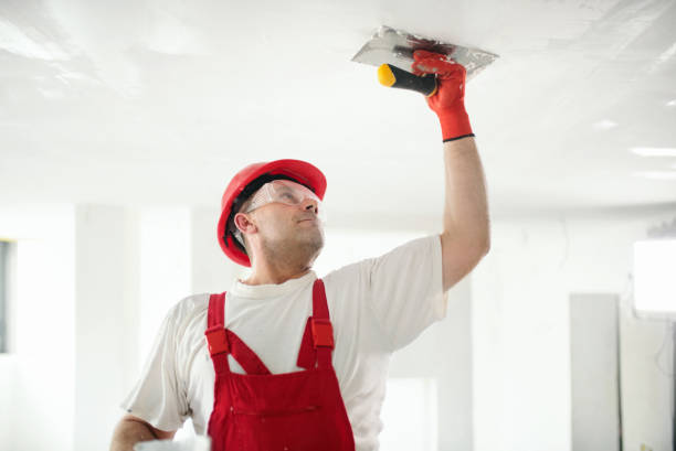 Professional Drywall & Painting Services in Mountain View, HI